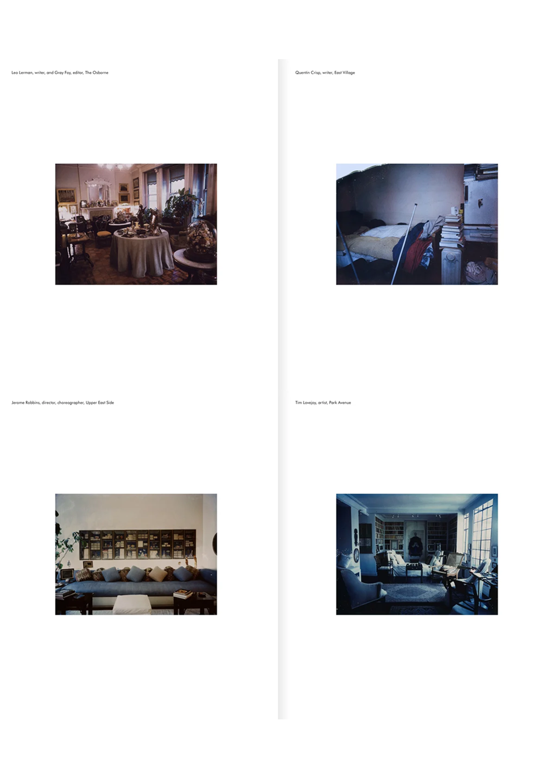 New York Living Rooms, Dominique Nabokov – Estudio Niksen